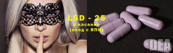 сатива Алзамай