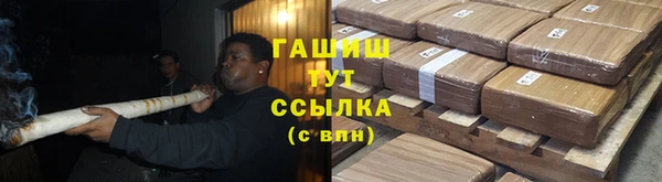 сатива Алзамай