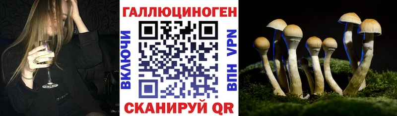 Галлюциногенные грибы мицелий  Ивантеевка 